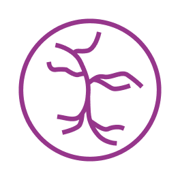 Venous Diseases